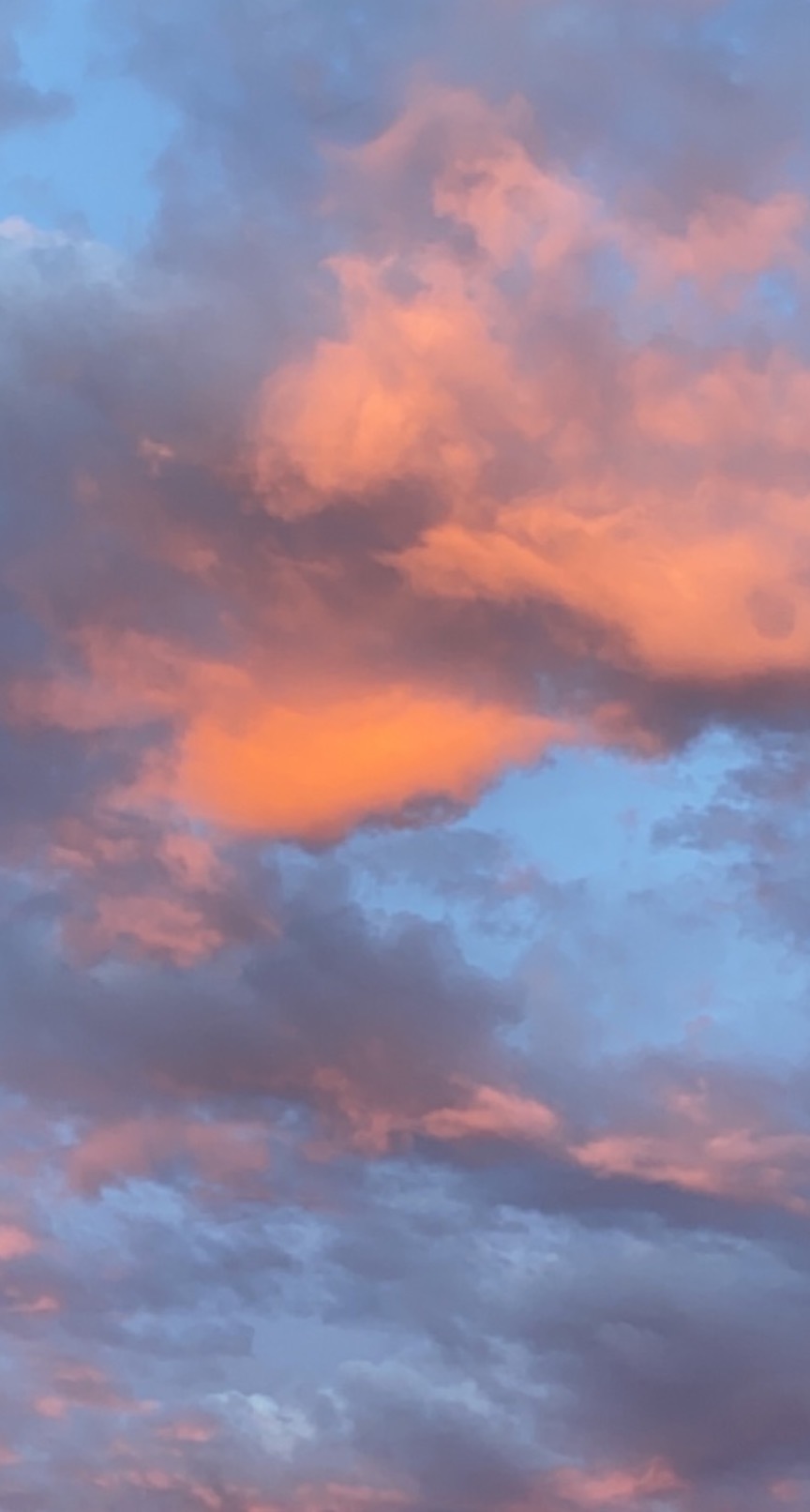 RissaTheVirgo banner image