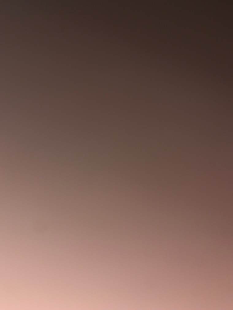 Xoxo cover image
