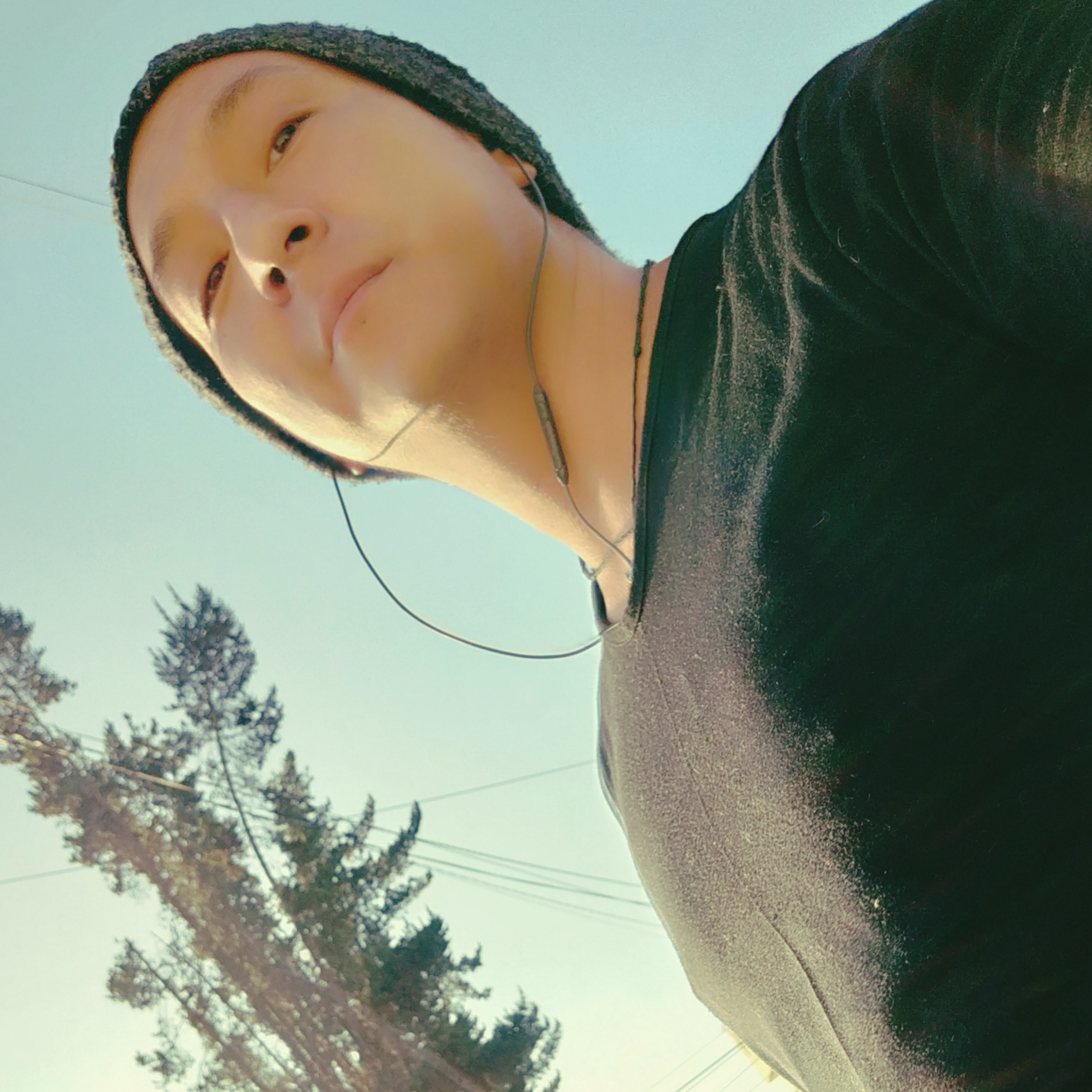 Kaylo banner image