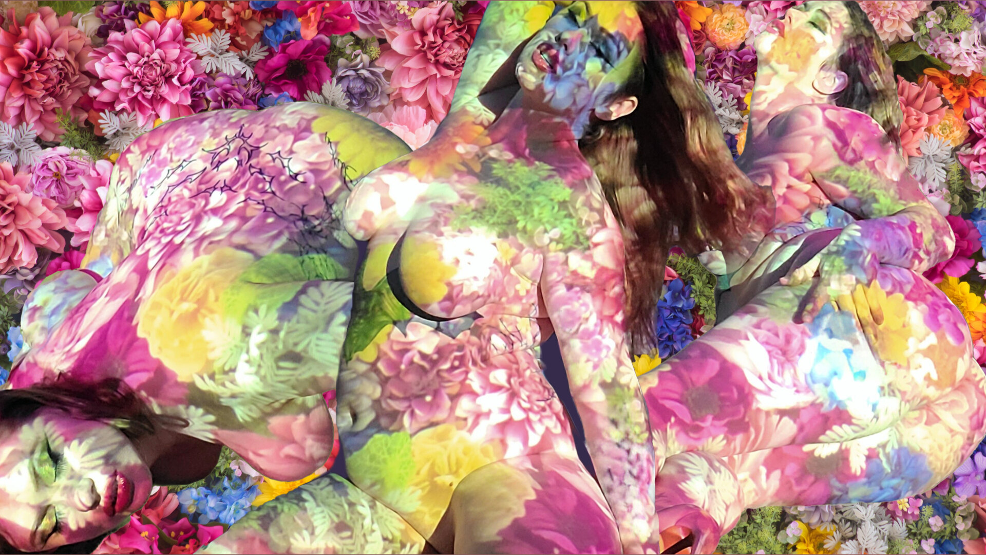 Sasha Roan banner image
