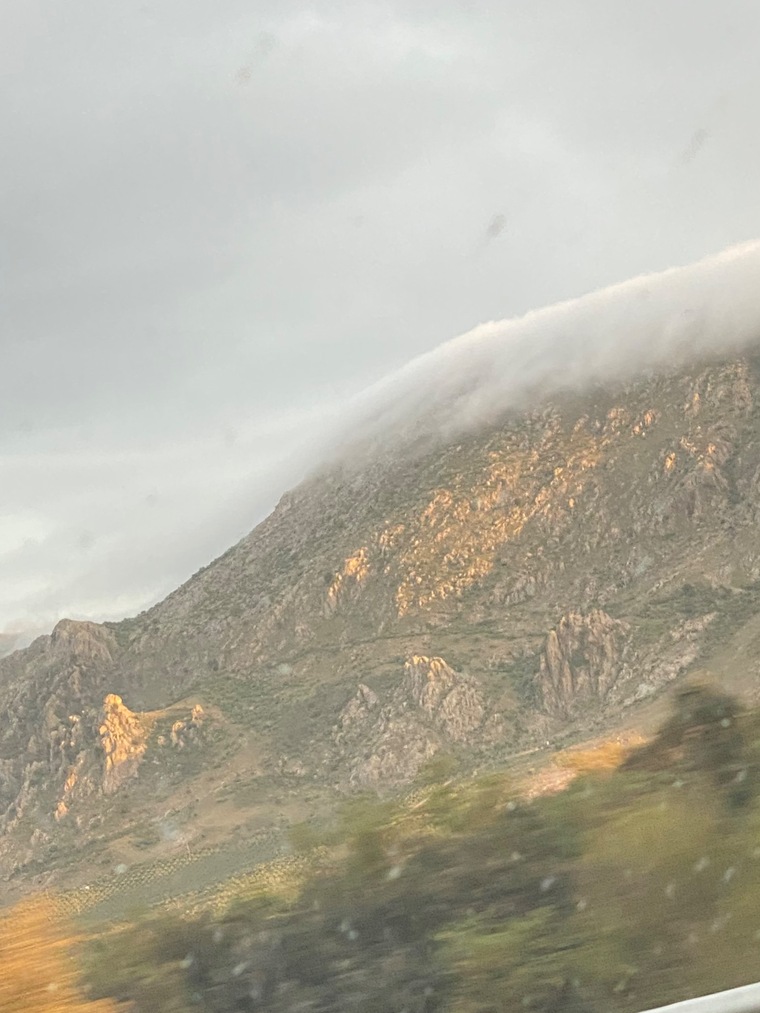 Carlos R banner image