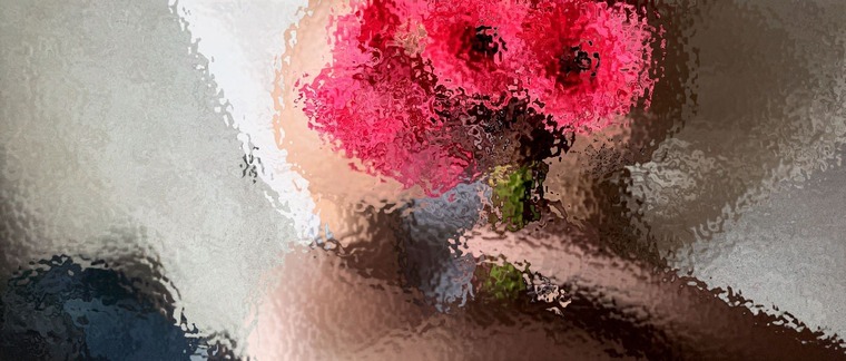Robby & Grace banner image