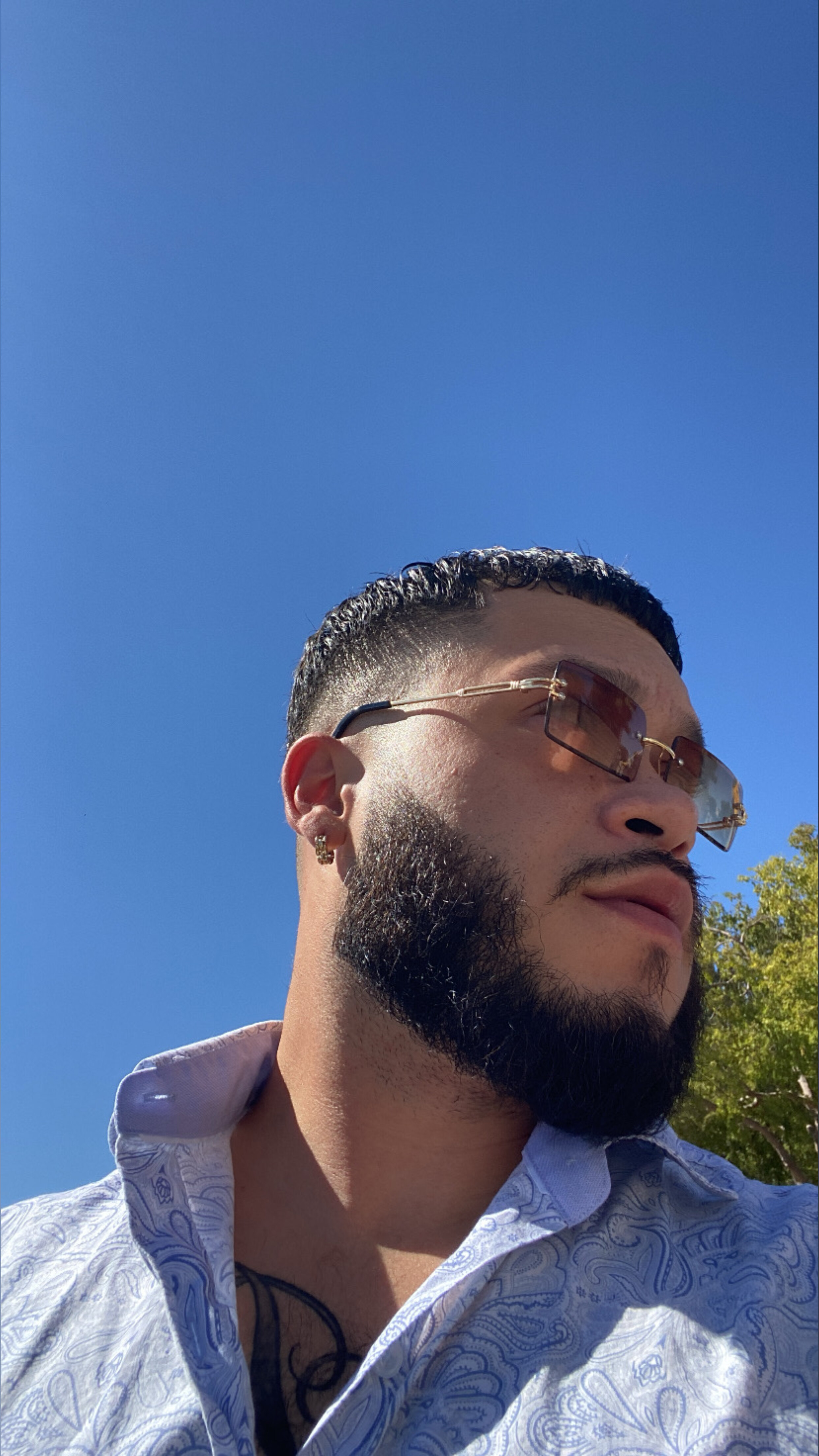 Robby 2 Fresh banner image