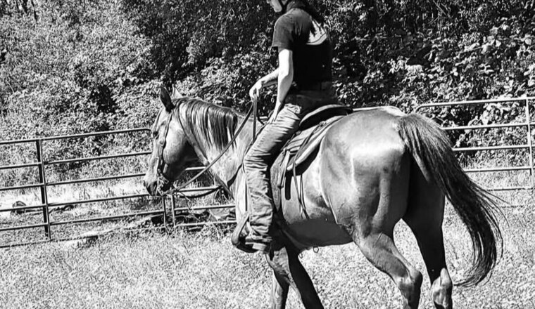 Robin Reed cover image