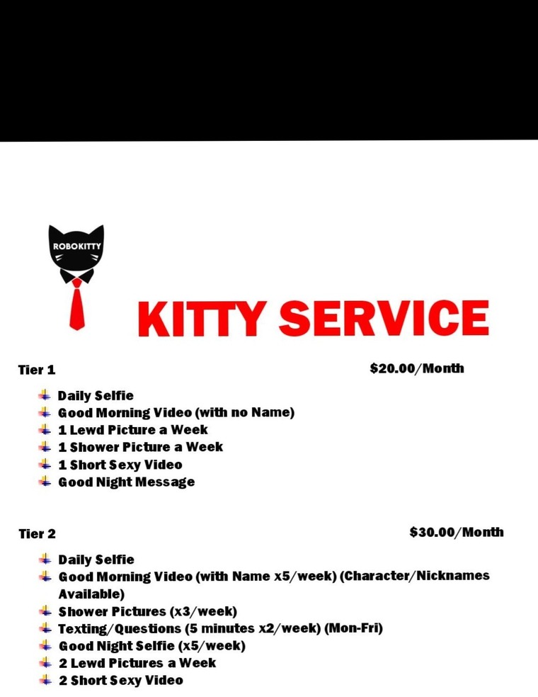 Robokitty813 banner image