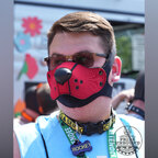 Rocket Pup avatar