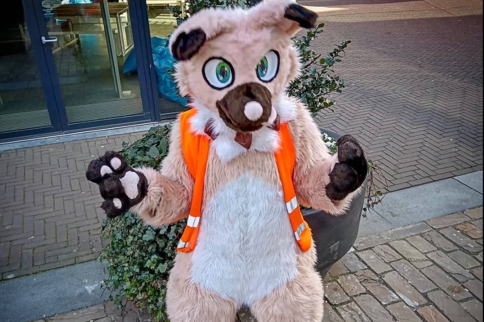 Rocky the Rockruff banner image