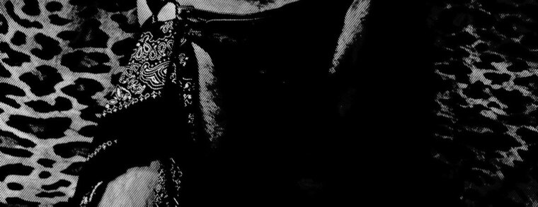 Rocky Mercury XXX banner image