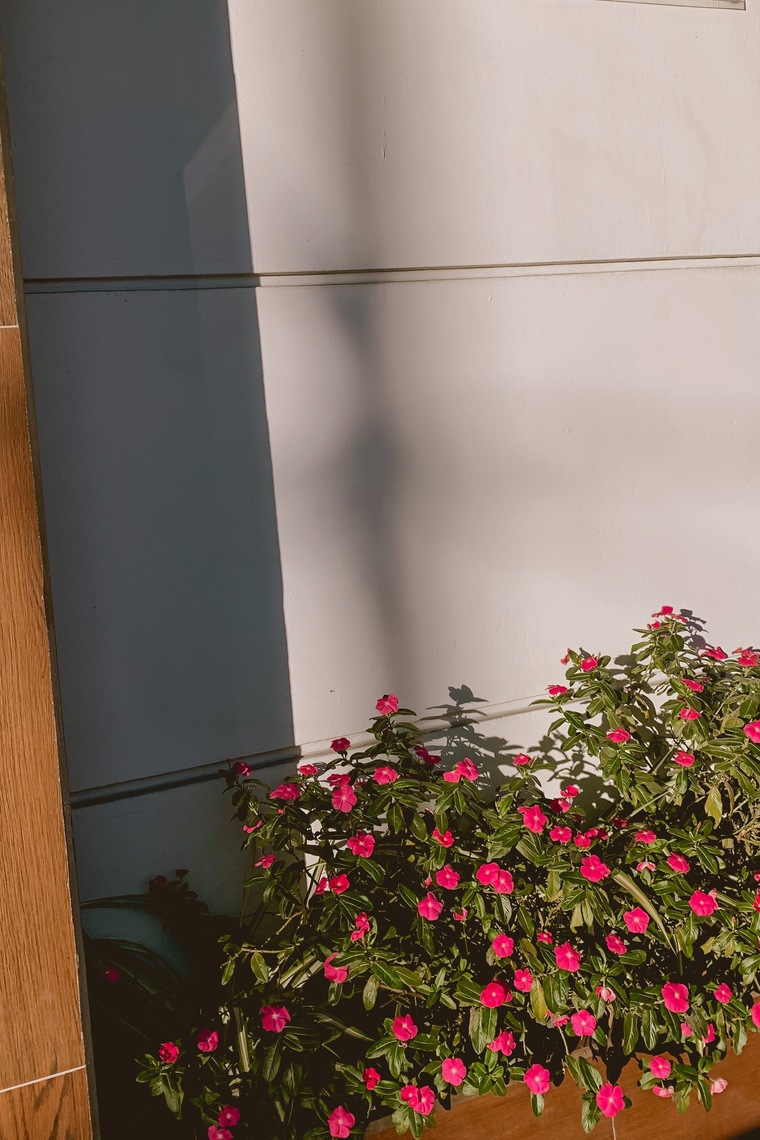 Amelia Rodriguez banner image