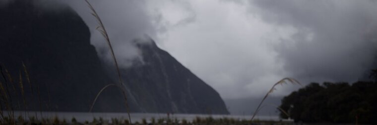 Rohan Fozzy cover image