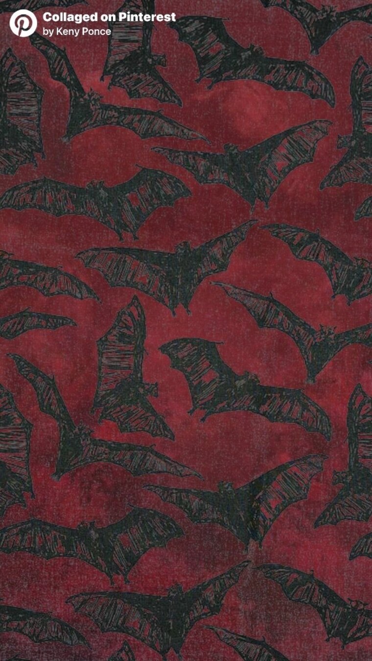 Roll for Snack cover image