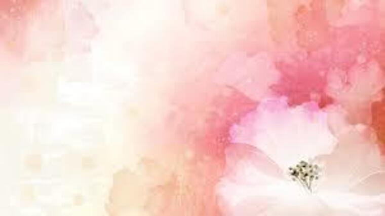 Taylor banner image