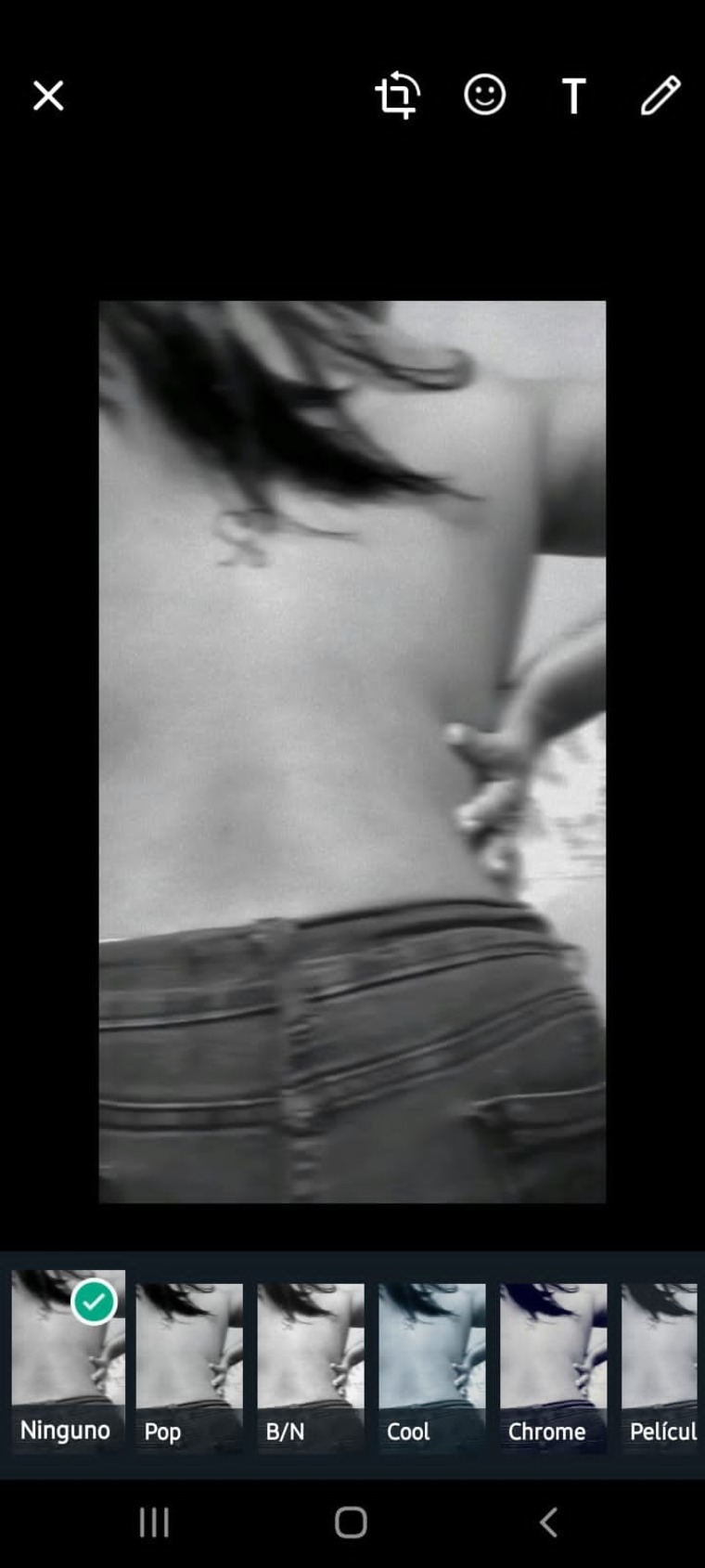 Romina Flores cover image
