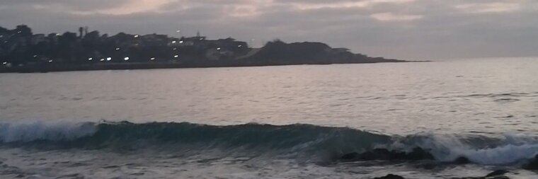 Romy banner image