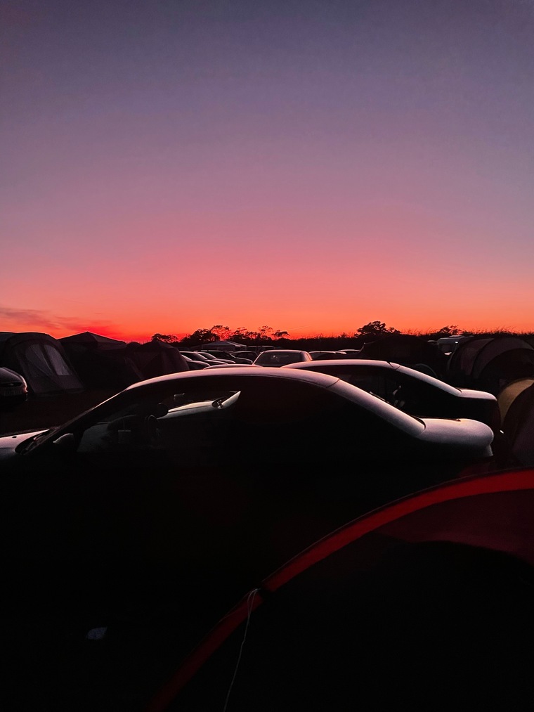 Roo banner image