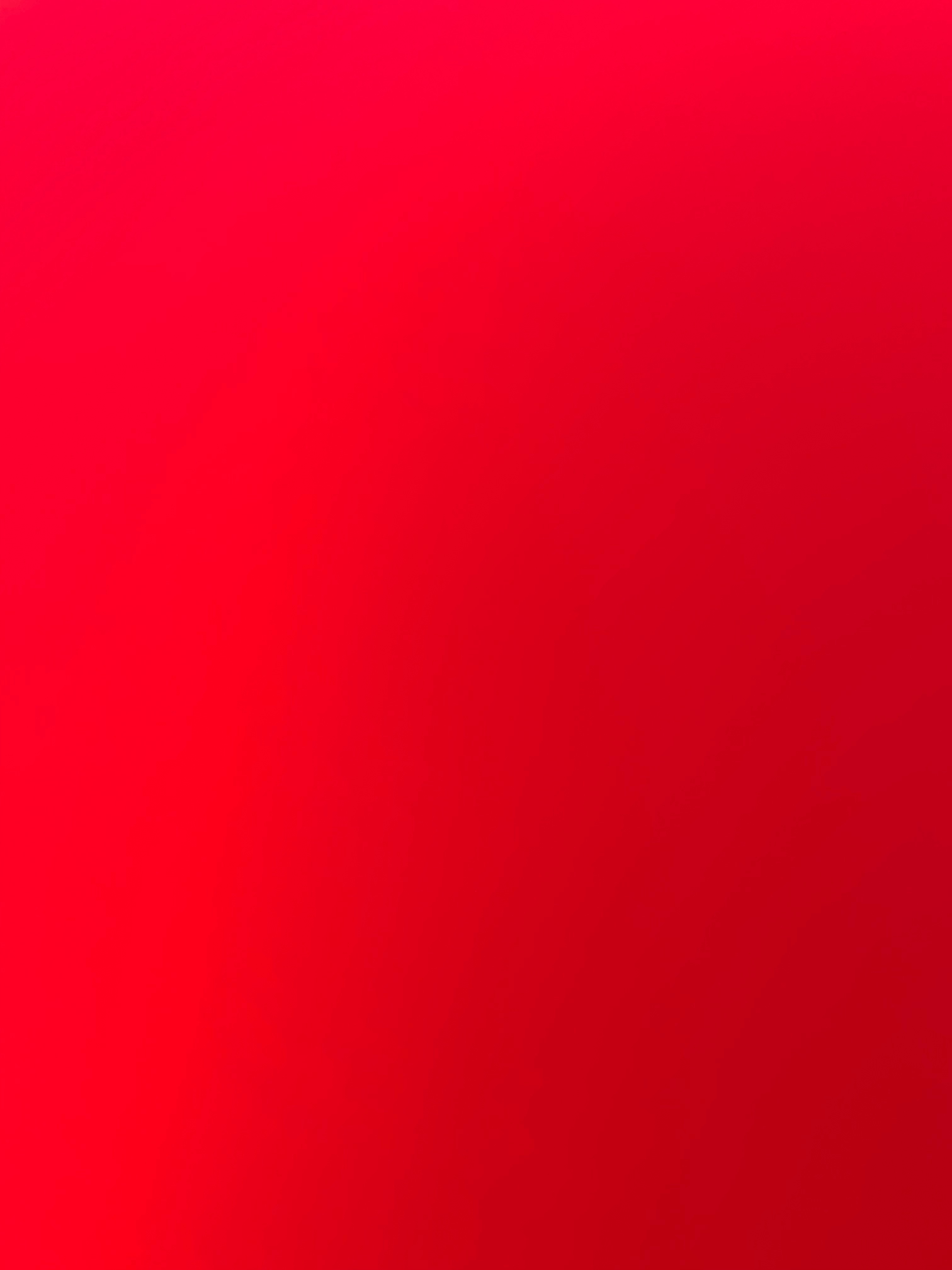 roobear banner image