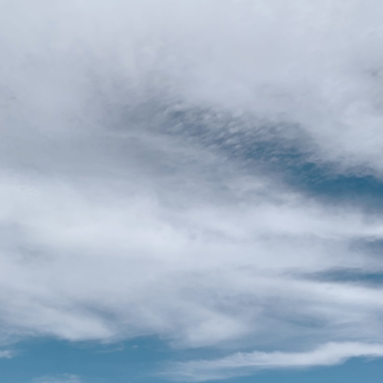 Roxana banner image
