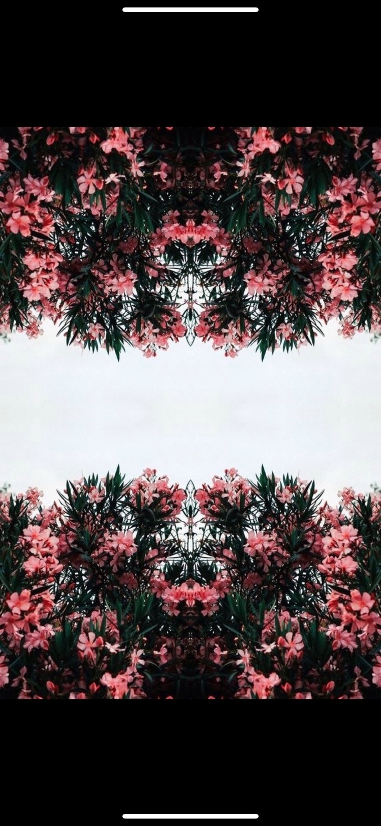 Ks cover image
