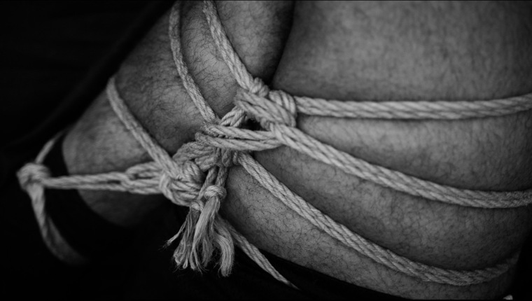 Roped Ragdoll banner image
