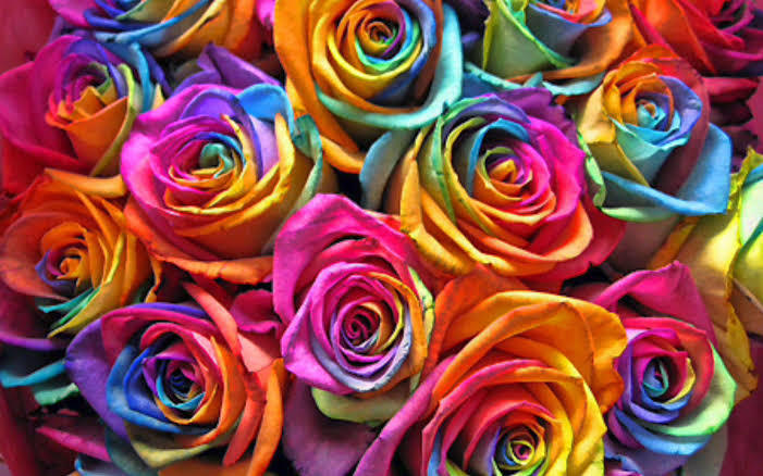 Rose Gold banner image