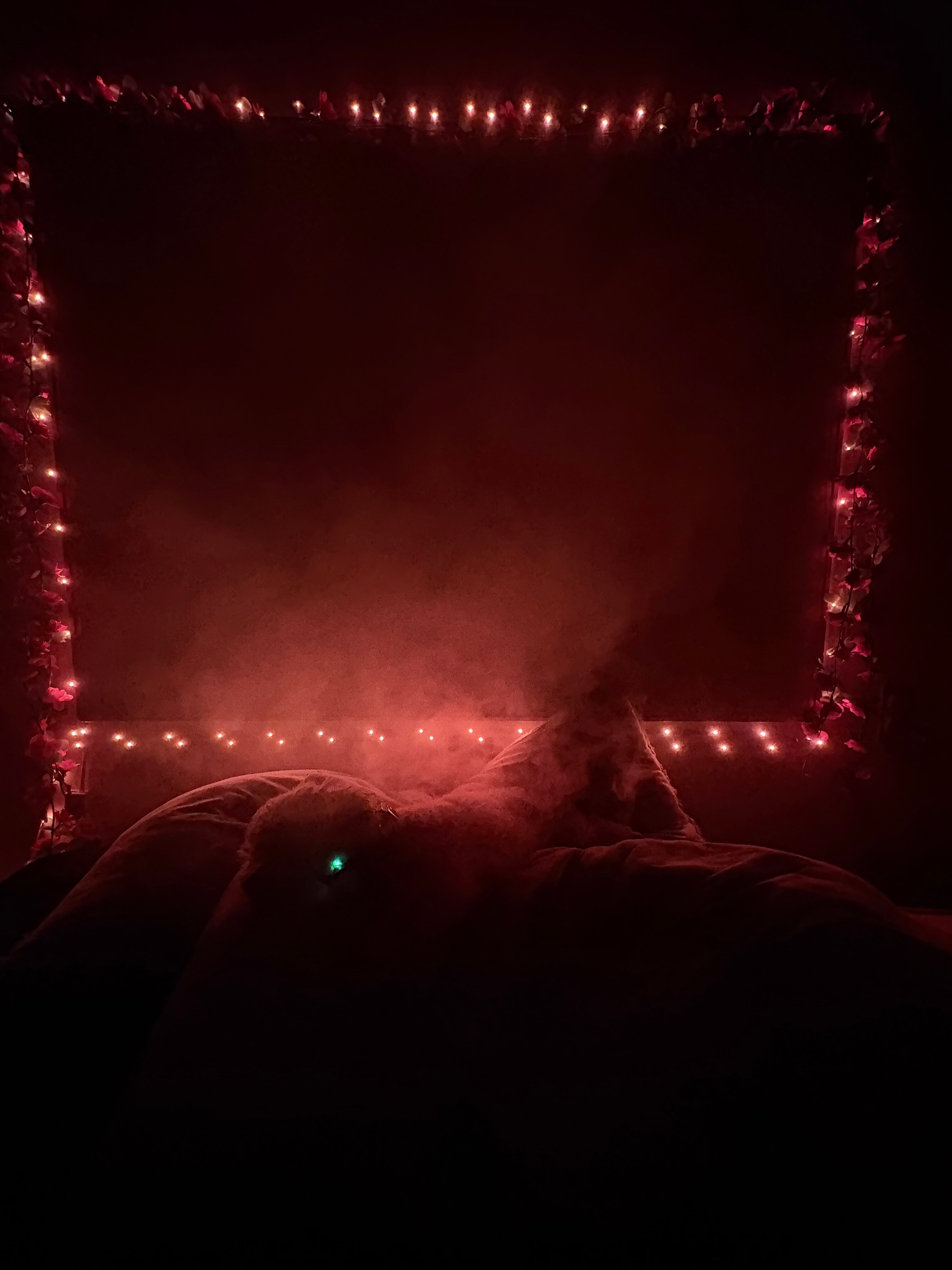 Rosaliecrowe banner image