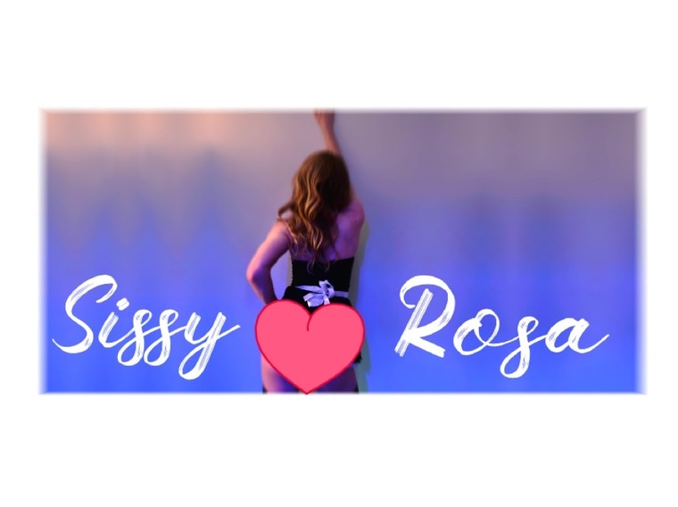 🌹 Rosa cover image