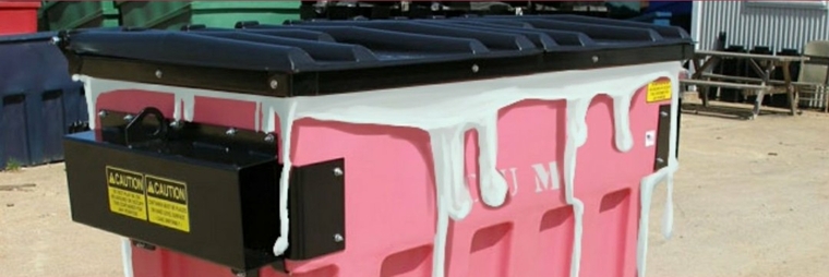 rose ❤ banner image