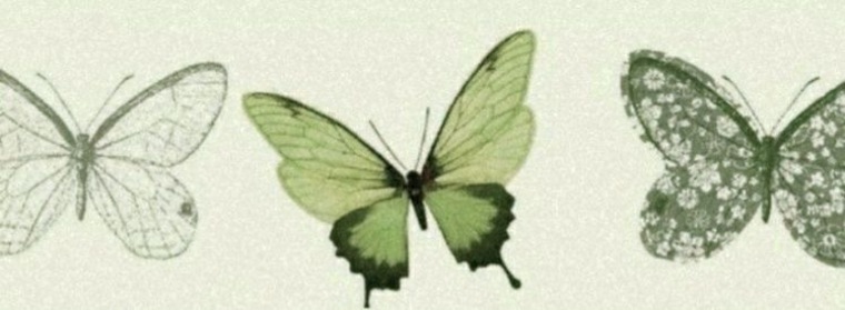 Rose cover image