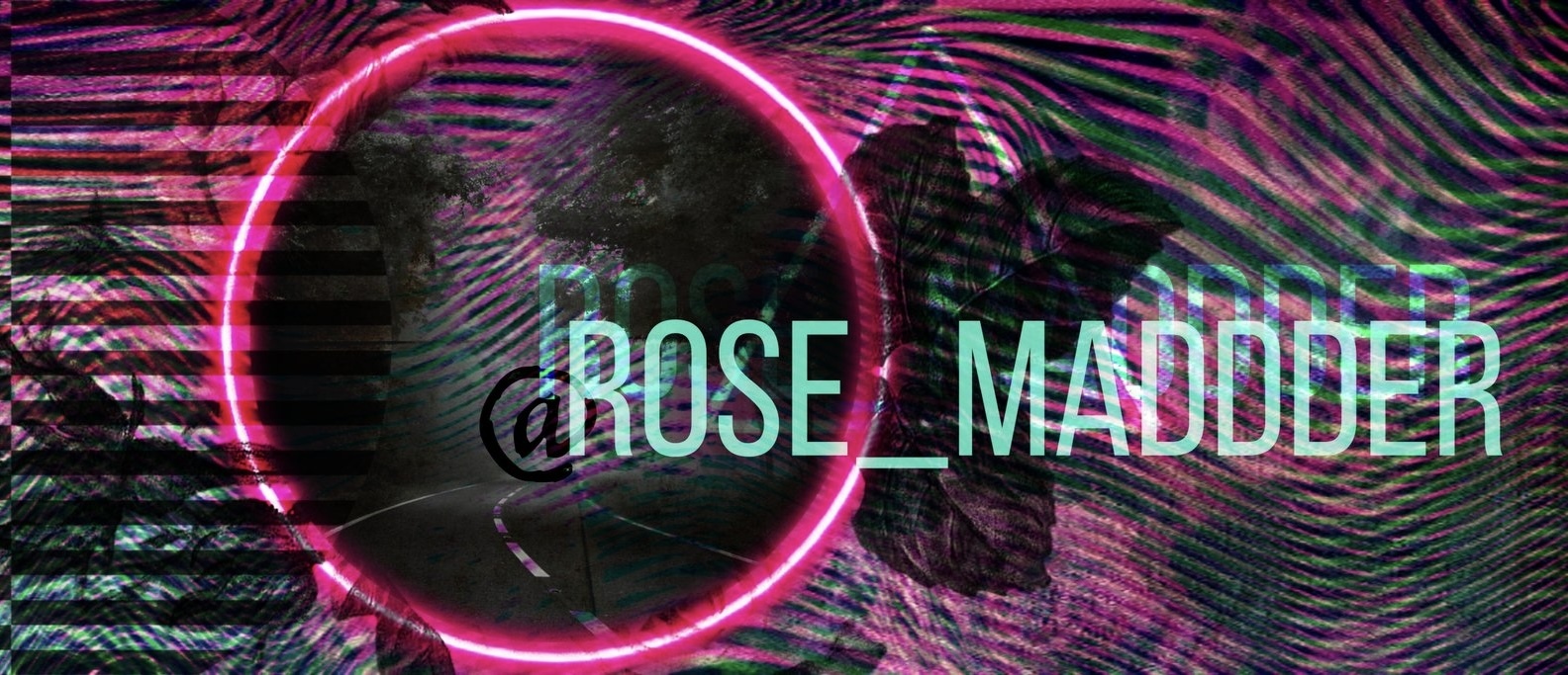 Rose banner image
