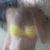 Rosie avatar
