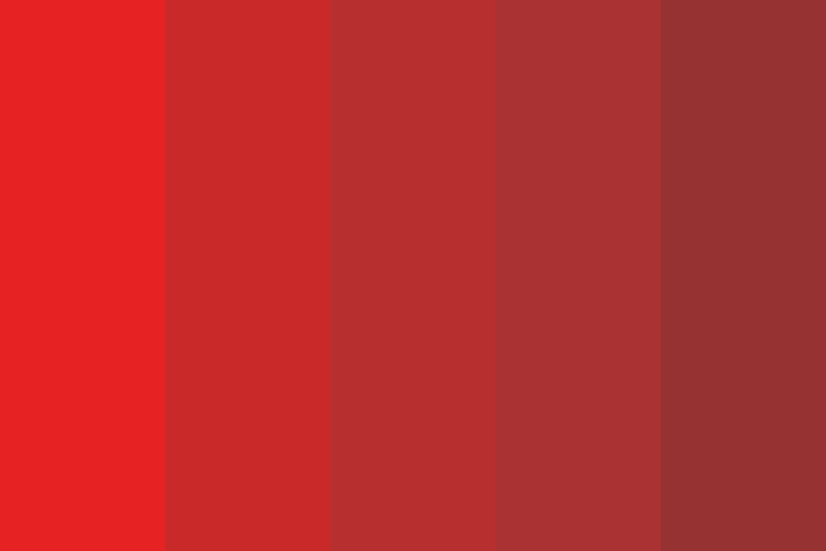 Rosie banner image