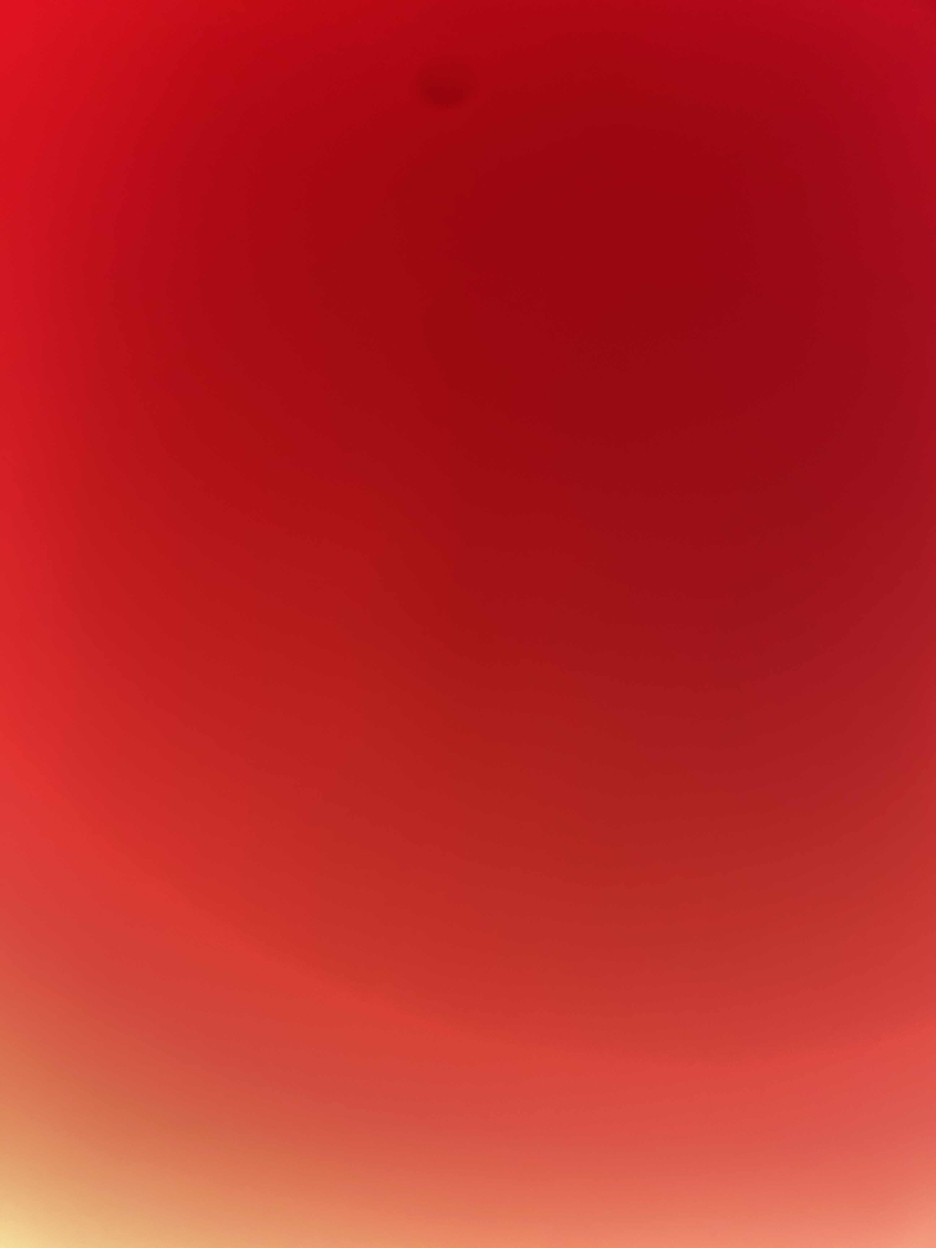 Rose banner image