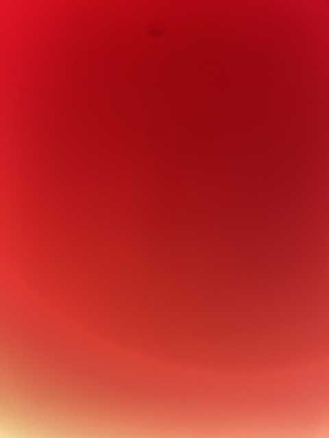 Rose cover image