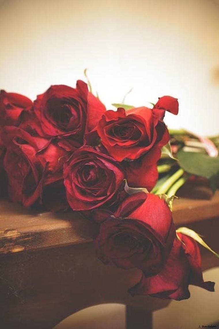 Rose Ryan banner image