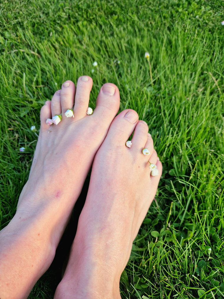 Rose Her Toes banner image