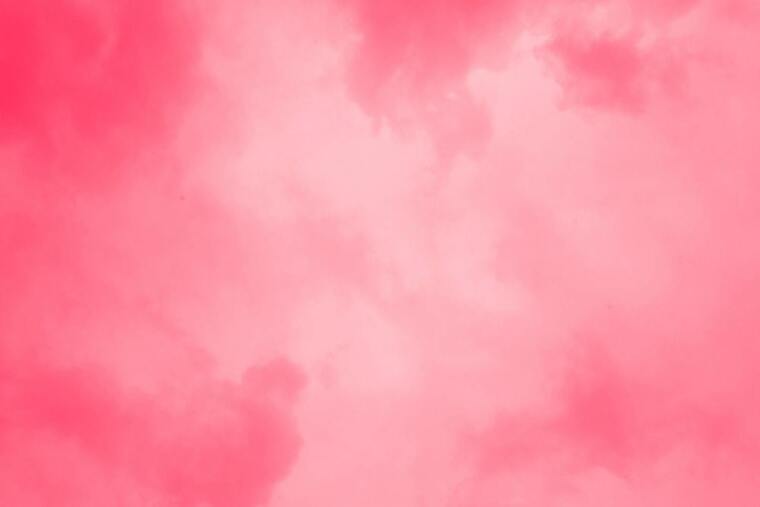 RoseLeigh banner image
