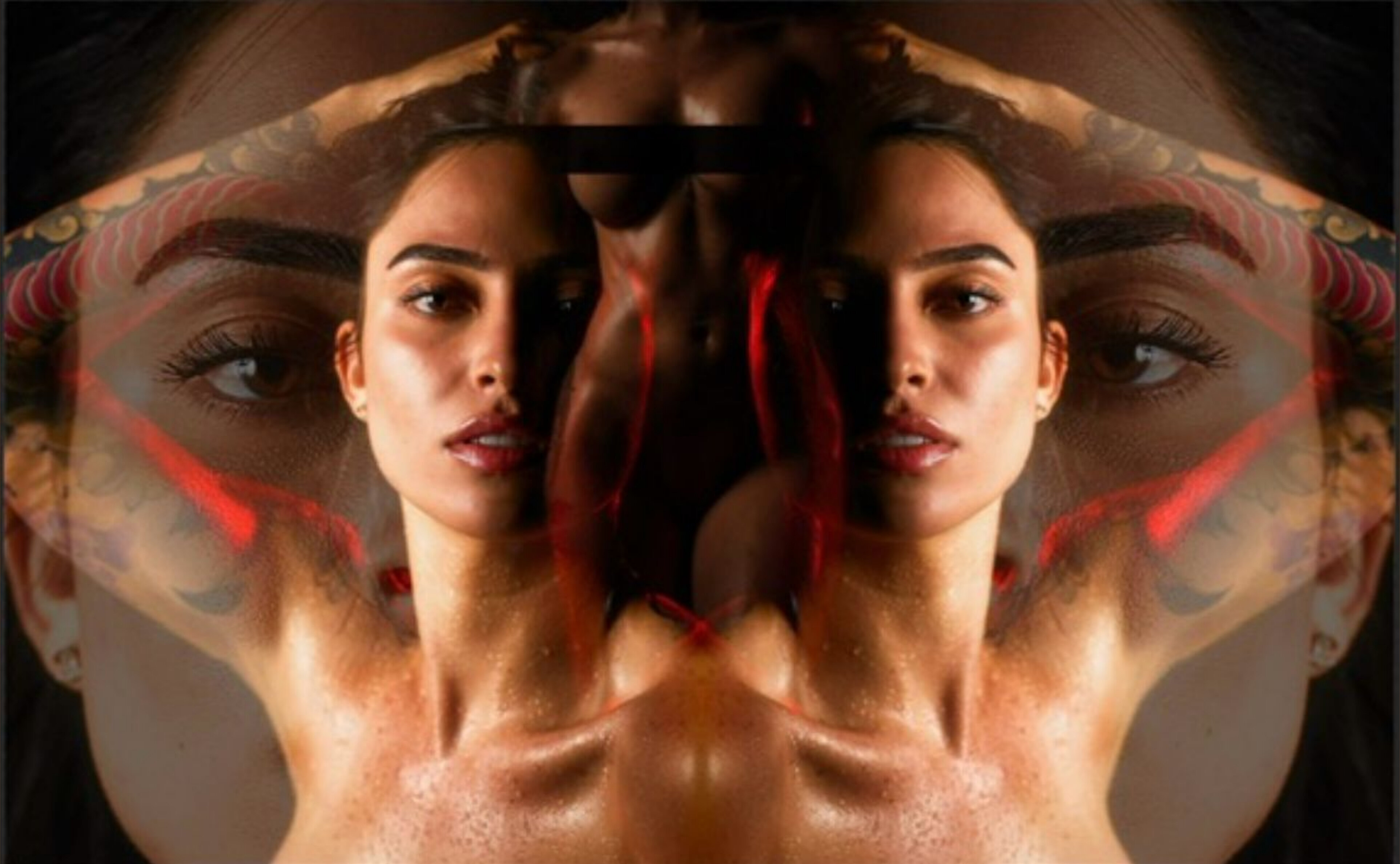 Roselinllanes banner image