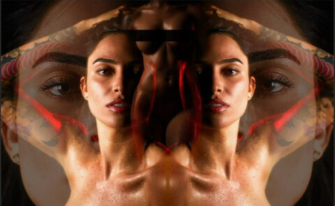 Roselinllanes cover image
