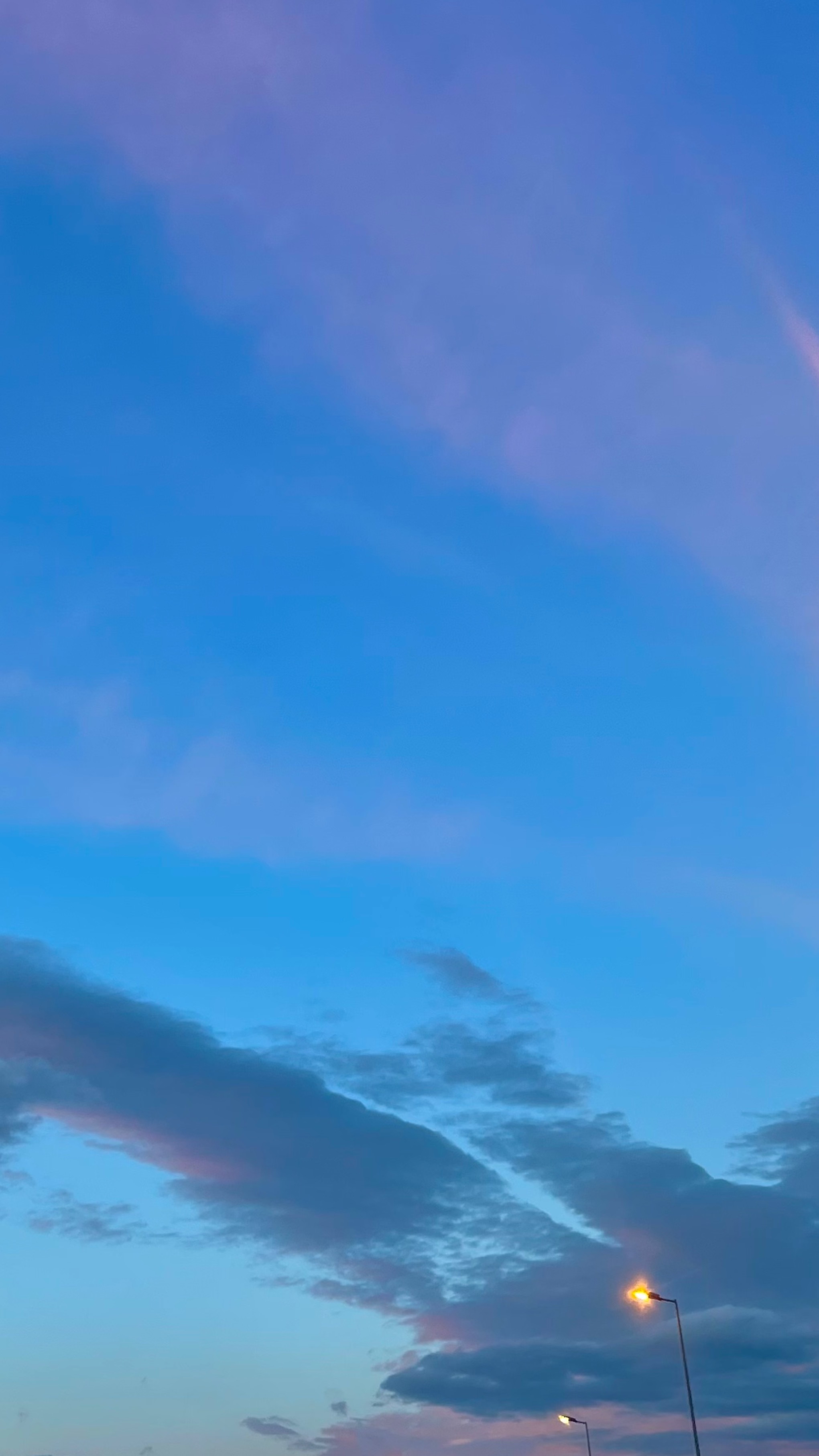 RoseLoren banner image
