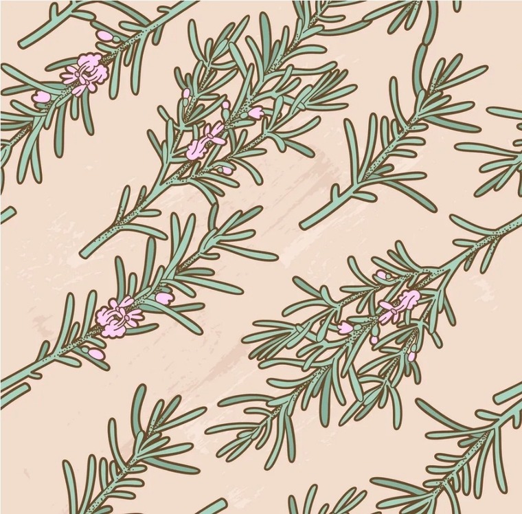 Rosemary May banner image