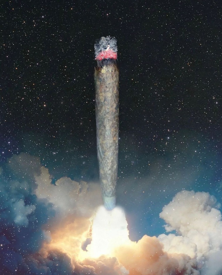 PettiteRo cover image