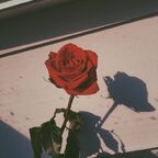 Rose🥀 avatar