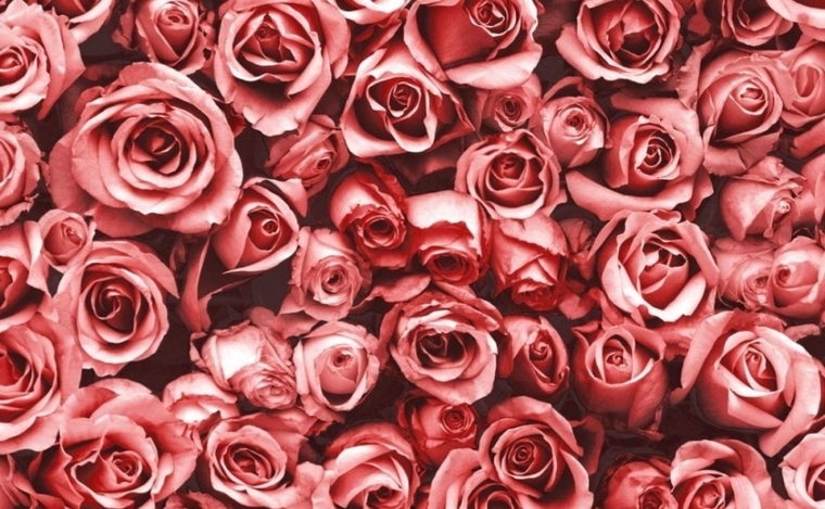 S cover image