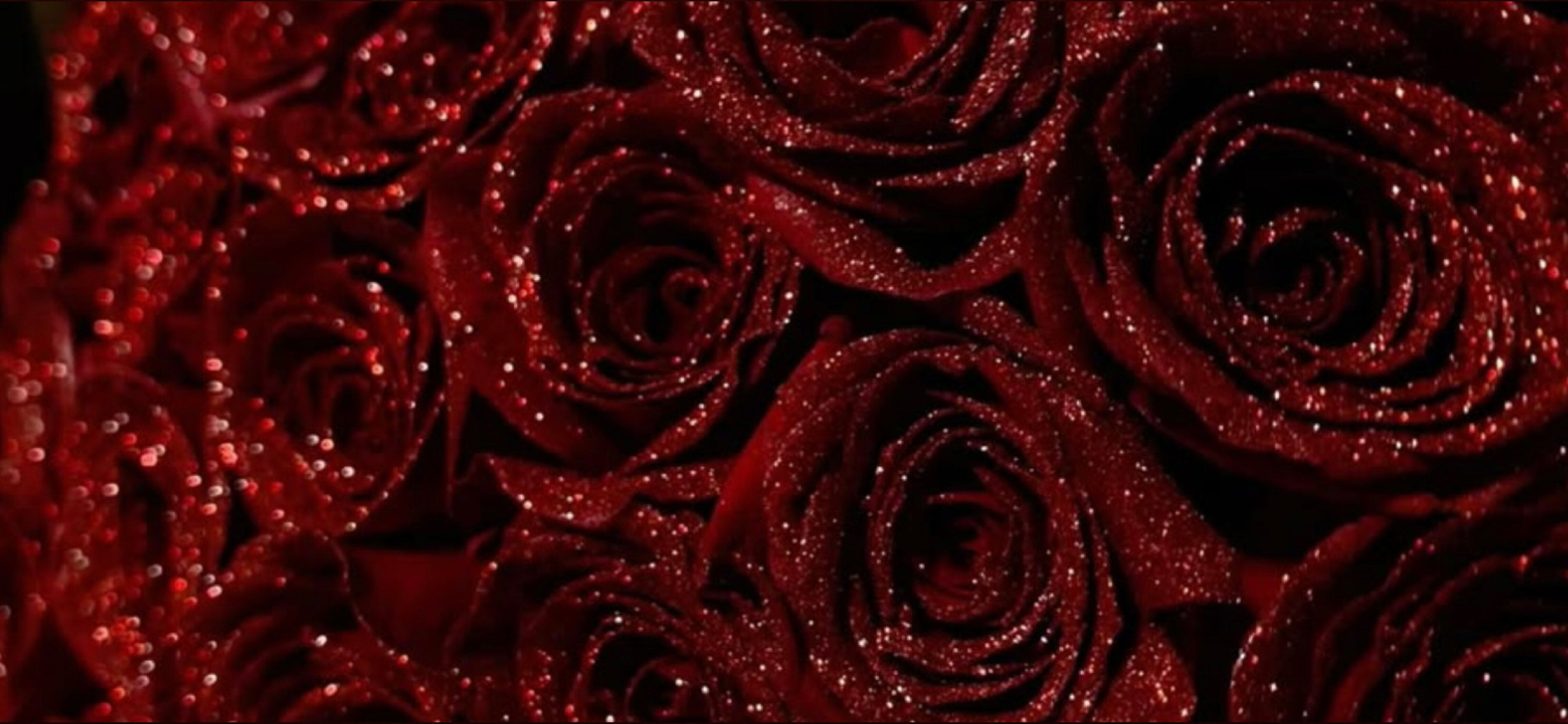 Rose banner image