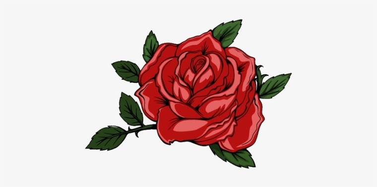 Rose Zoey🌹 cover image