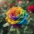 Rosi Blossom VIP avatar