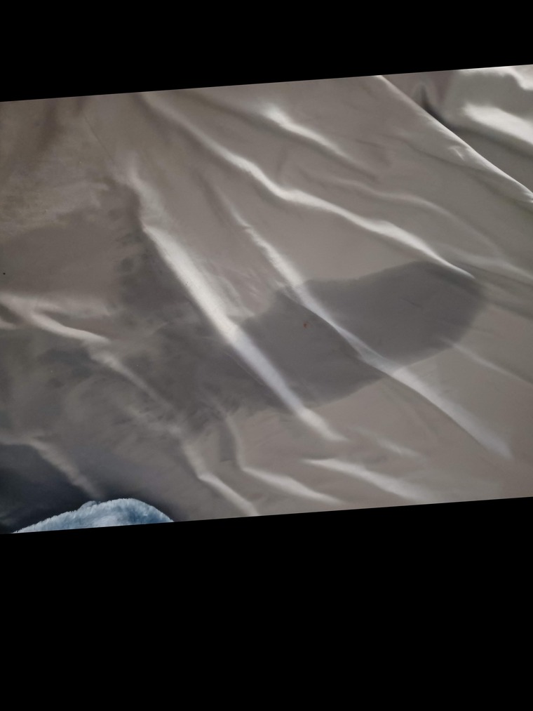 Rosalie banner image