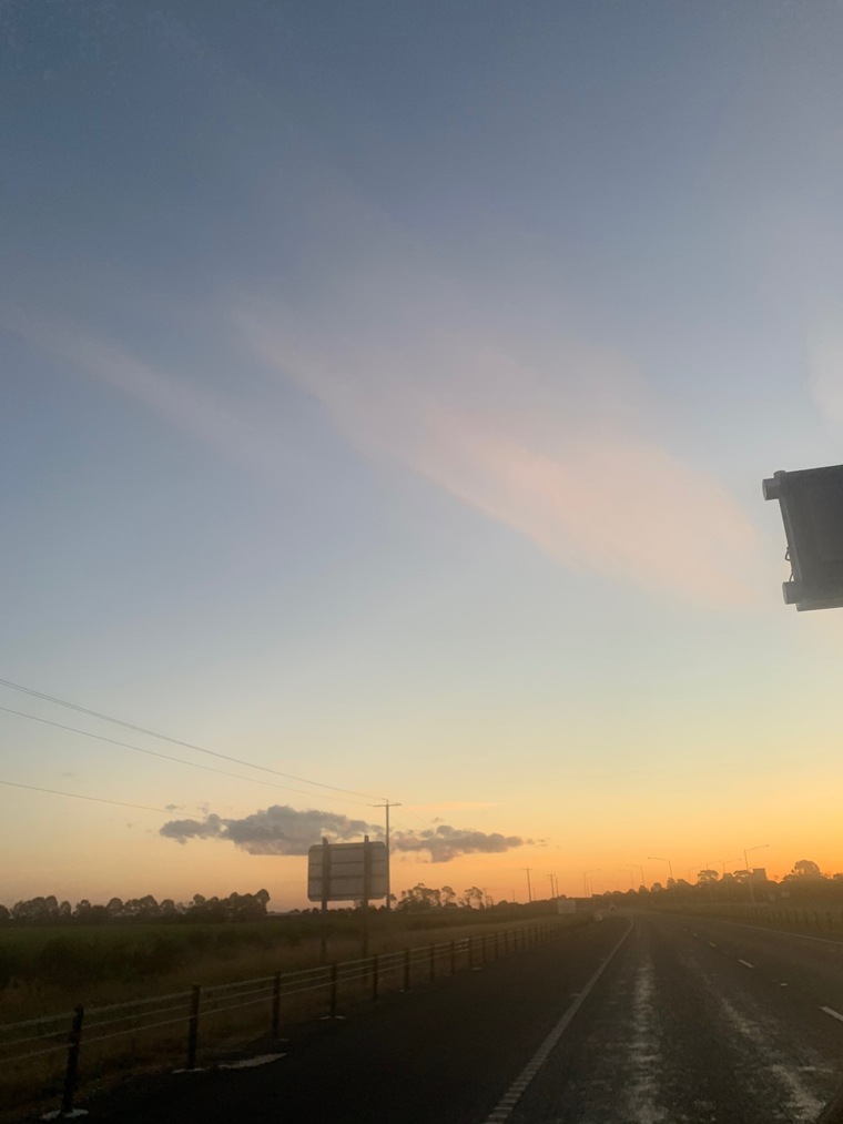 Rosie banner image