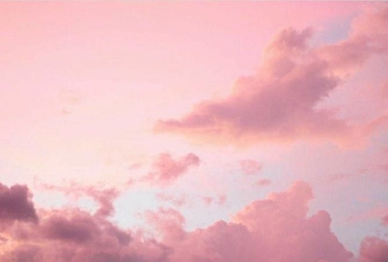 Rosie banner image