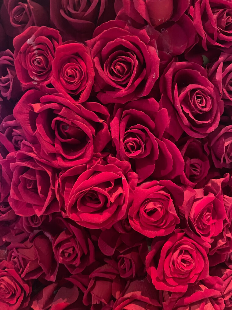 Rosie cover image